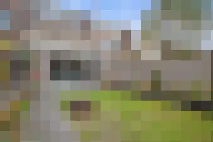 Klein Brabant 182 Vught thumbnail 37