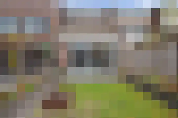 Klein Brabant 182 Vught thumbnail 38