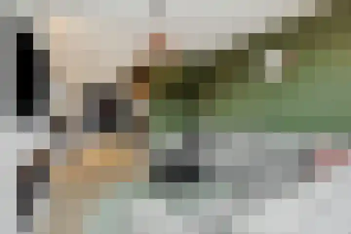 Klein Brabant 28 Vught thumbnail 11