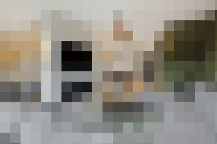 Klein Brabant 28 Vught thumbnail 12
