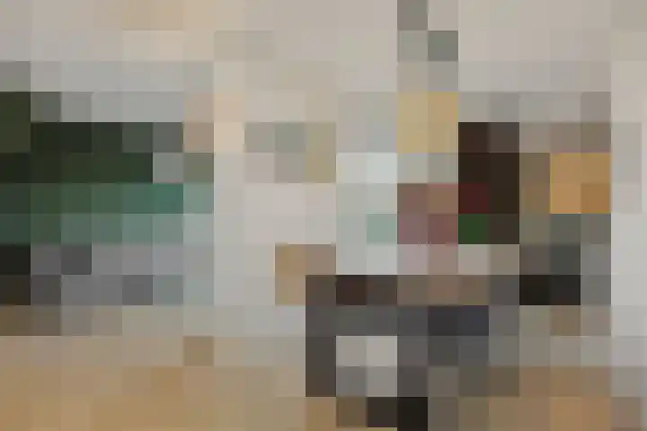 Klein Brabant 28 Vught thumbnail 15