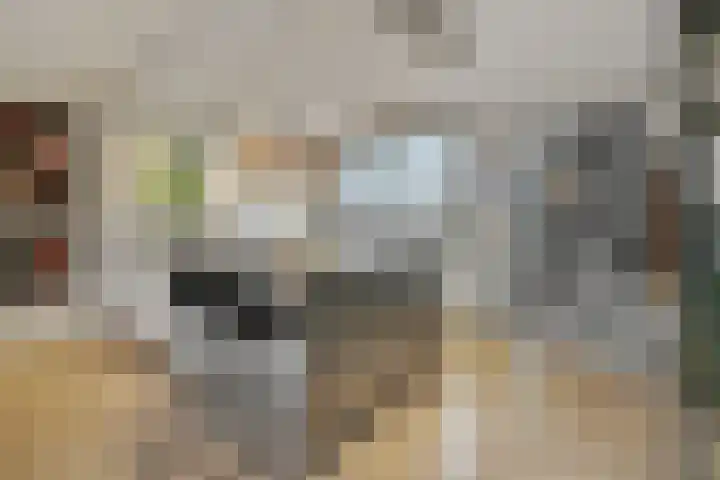 Klein Brabant 28 Vught thumbnail 17