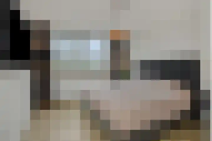 Klein Brabant 28 Vught thumbnail 25