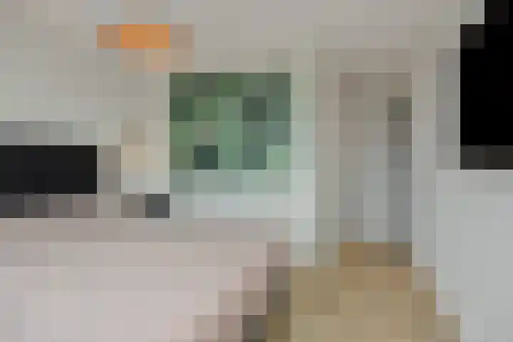 Klein Brabant 28 Vught thumbnail 26