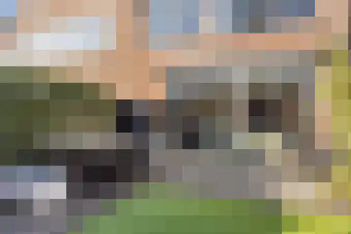 Klein Brabant 28 Vught thumbnail 45
