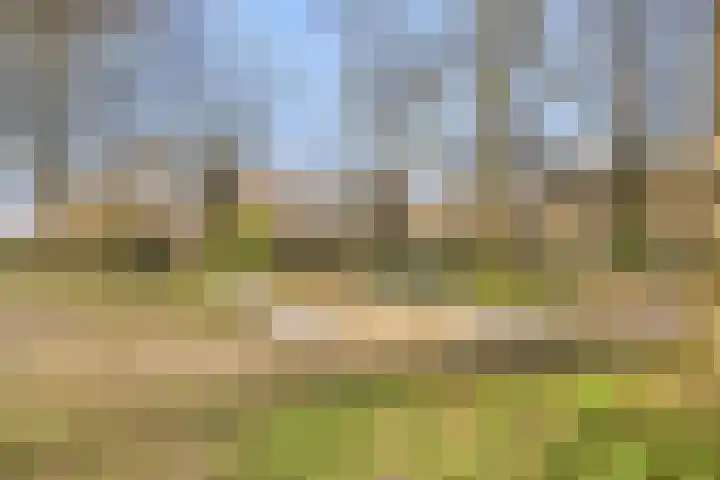 Klein Brabant 28 Vught thumbnail 50