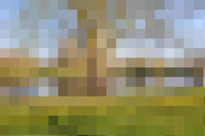 Klein Brabant 28 Vught thumbnail 51