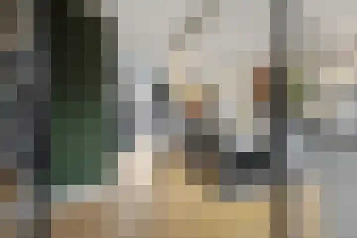 Klein Brabant 28 Vught thumbnail 9