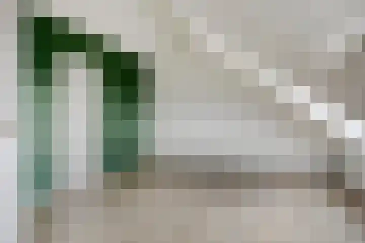 Klein Brabant 29 Vught thumbnail 23