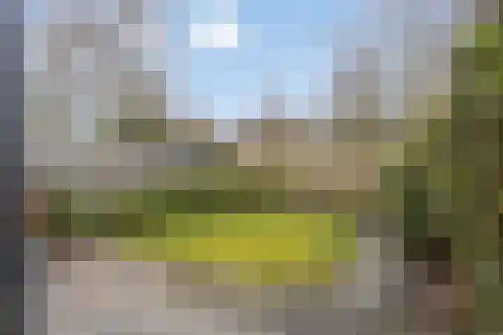 Klein Brabant 29 Vught thumbnail 26
