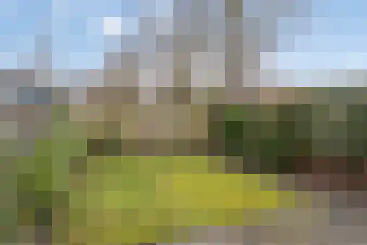 Klein Brabant 29 Vught thumbnail 27