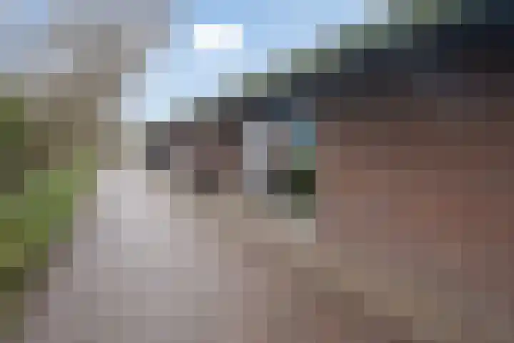 Klein Brabant 29 Vught thumbnail 30