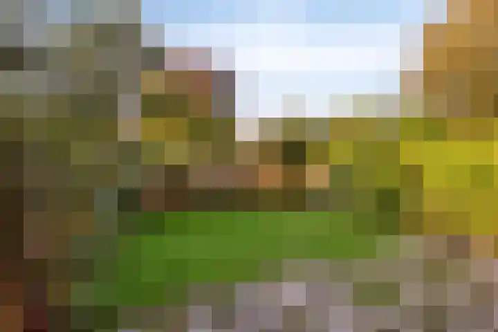 Klein Brabant 41 Vught thumbnail 24