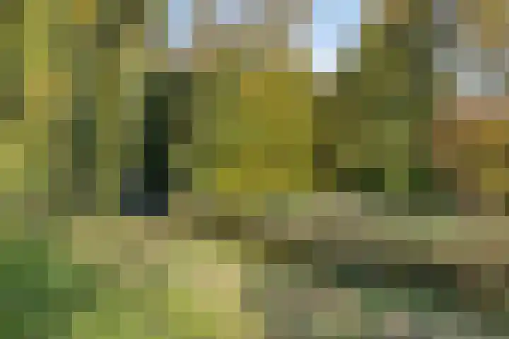 Klein Brabant 41 Vught thumbnail 26