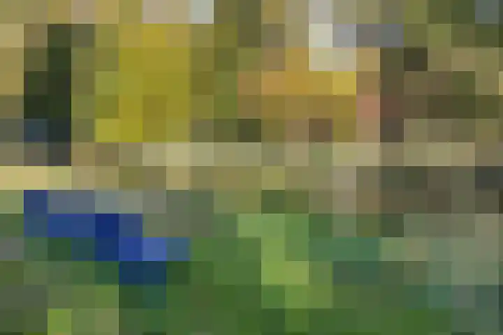 Klein Brabant 41 Vught thumbnail 27