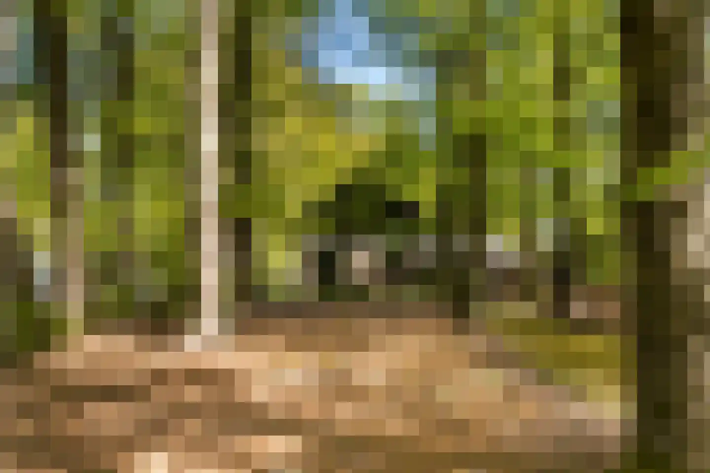Klein Cannenburgh 4 Wenum Wiesel thumbnail 100