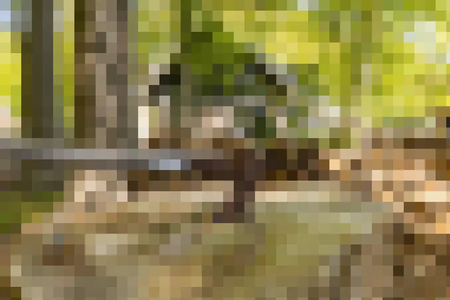 Klein Cannenburgh 4 Wenum Wiesel thumbnail 101