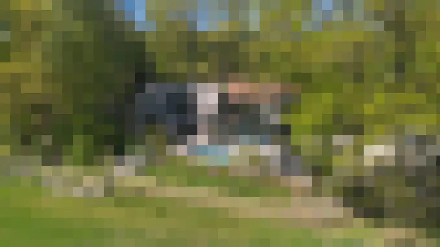 Klein Cannenburgh 4 Wenum Wiesel thumbnail 102