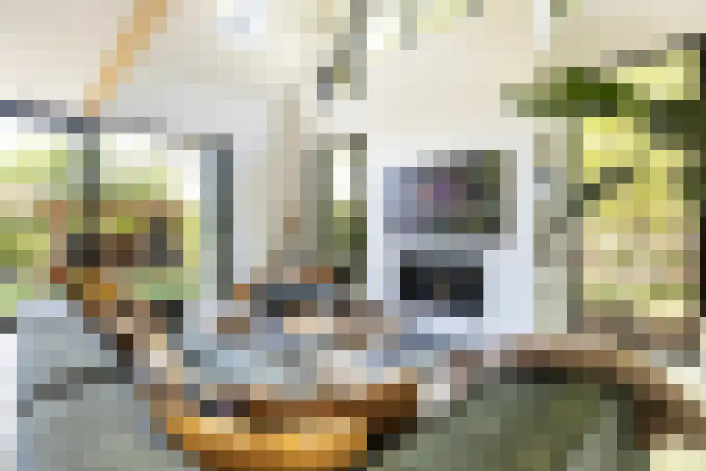 Klein Cannenburgh 4 Wenum Wiesel thumbnail 16