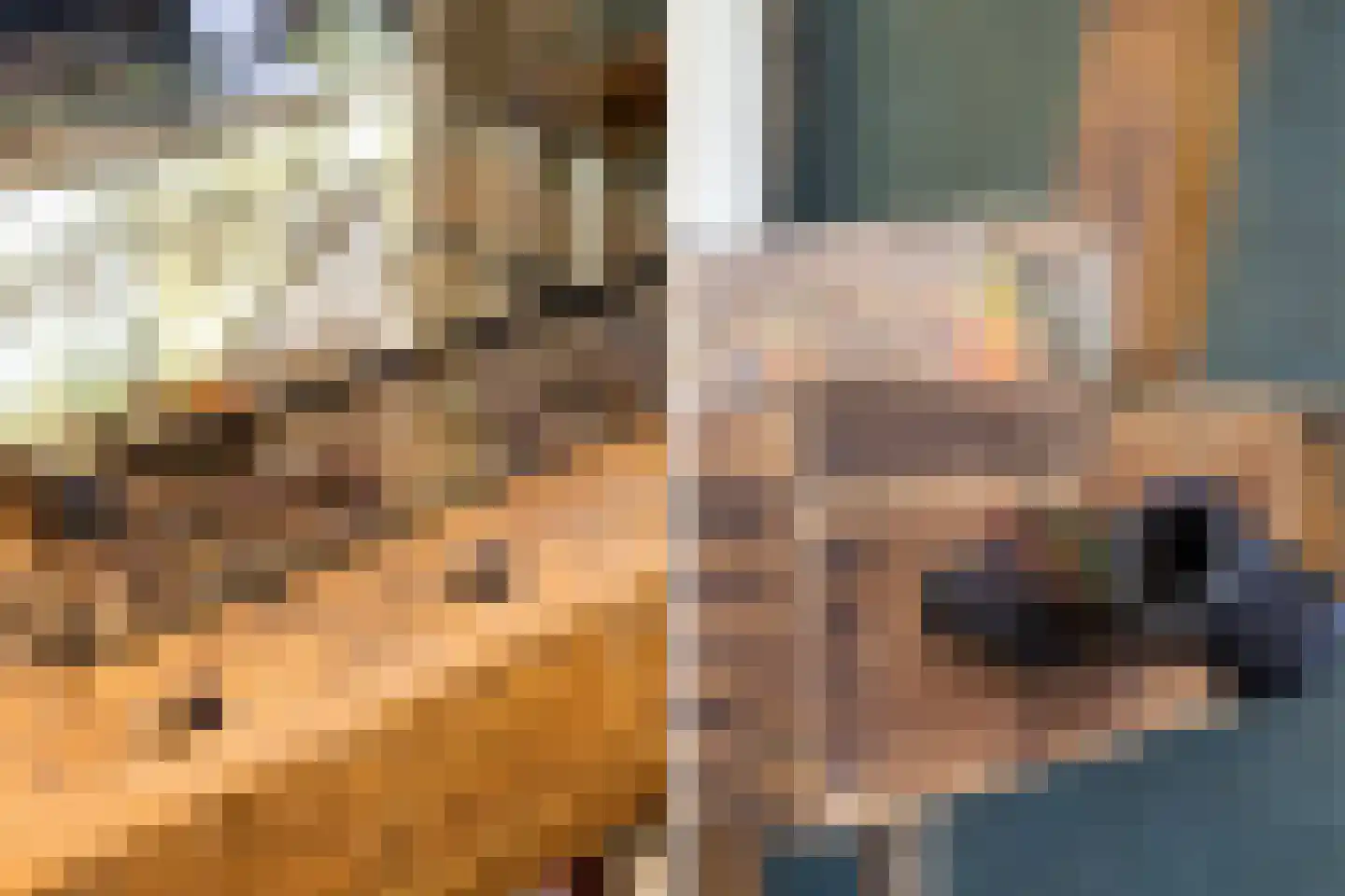 Klein Cannenburgh 4 Wenum Wiesel thumbnail 18
