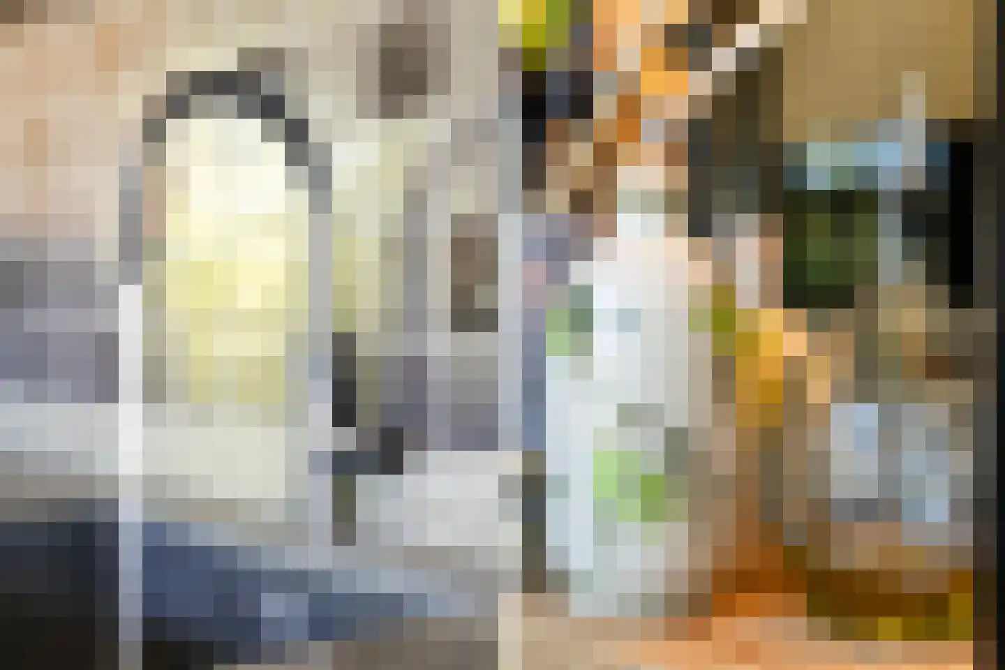Klein Cannenburgh 4 Wenum Wiesel thumbnail 23