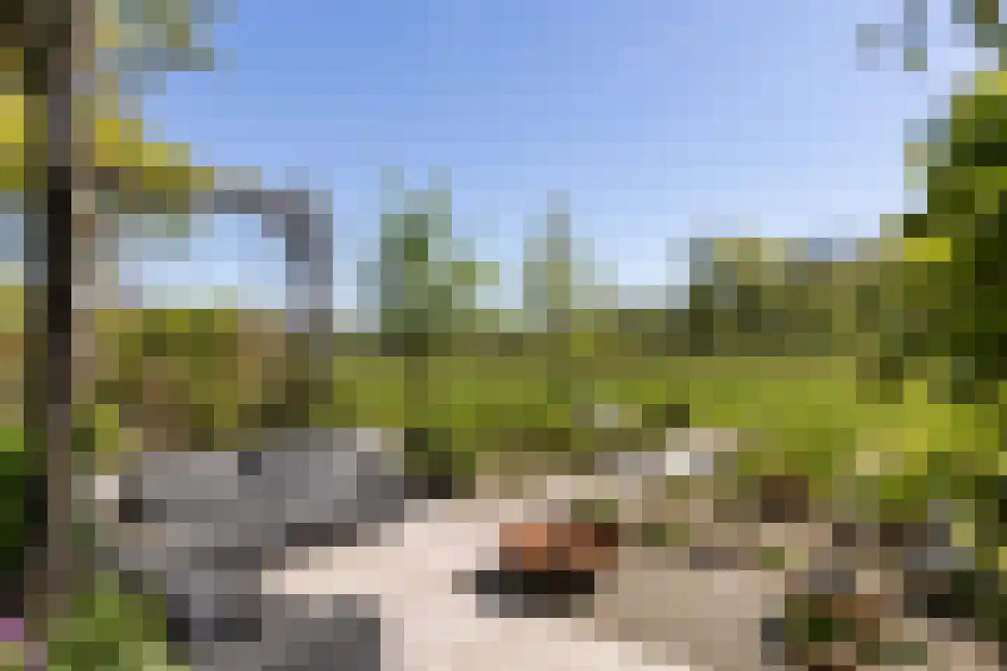 Klein Cannenburgh 4 Wenum Wiesel thumbnail 35
