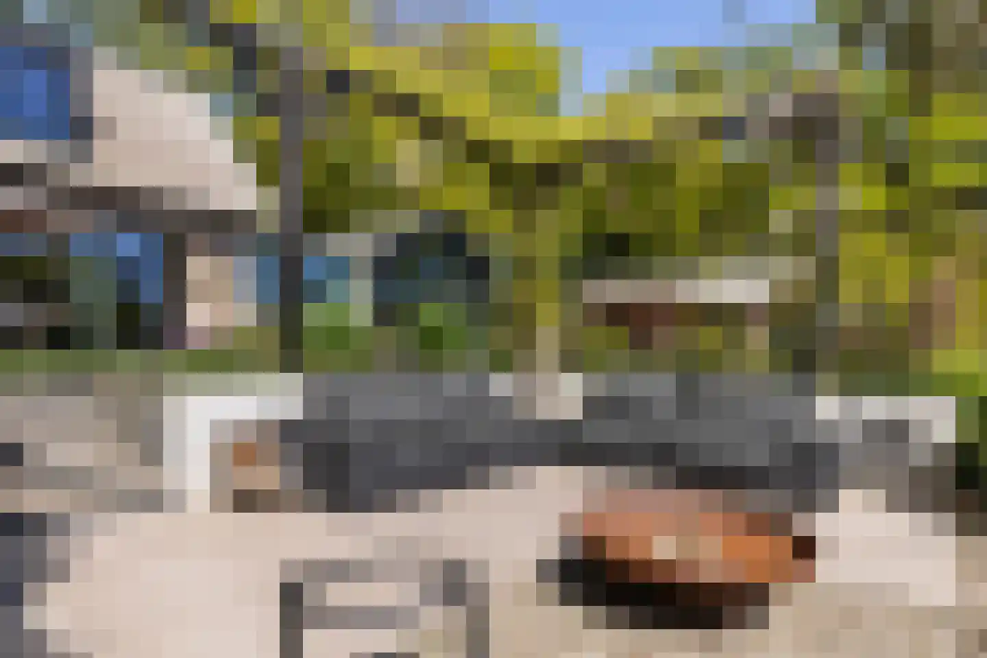 Klein Cannenburgh 4 Wenum Wiesel thumbnail 36