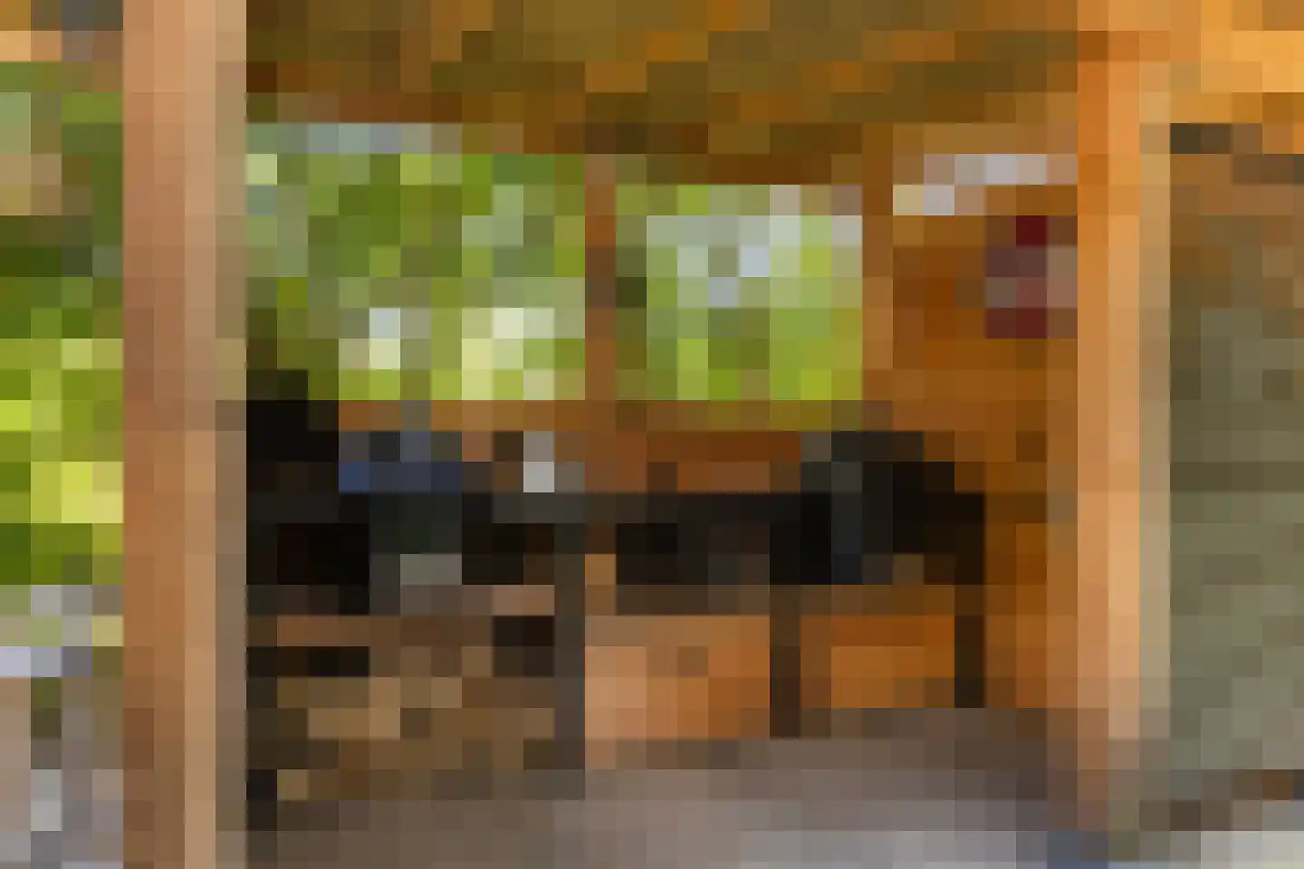 Klein Cannenburgh 4 Wenum Wiesel thumbnail 38