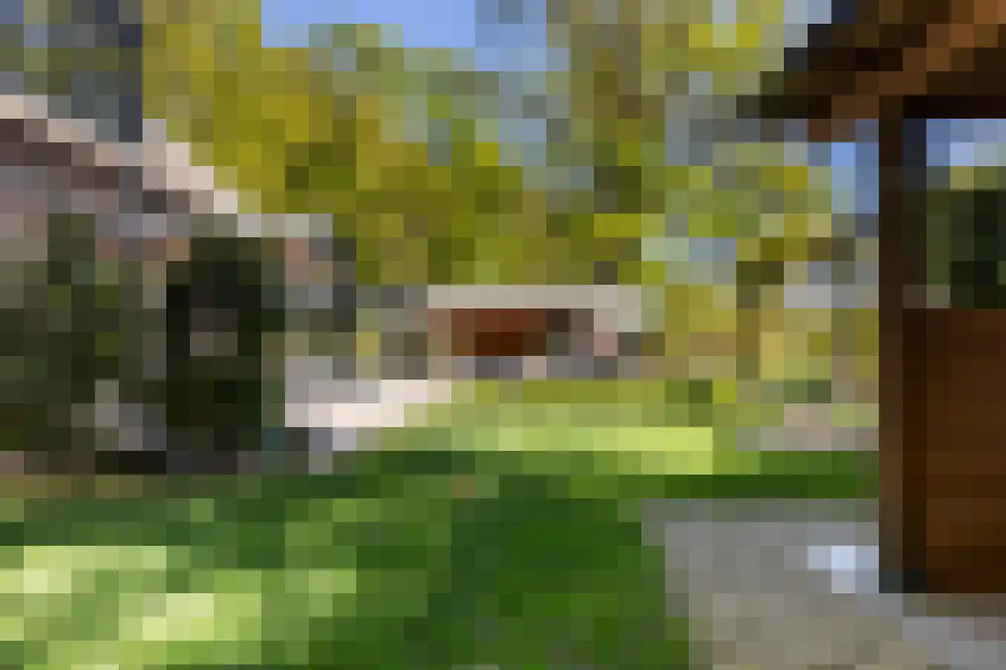 Klein Cannenburgh 4 Wenum Wiesel thumbnail 39