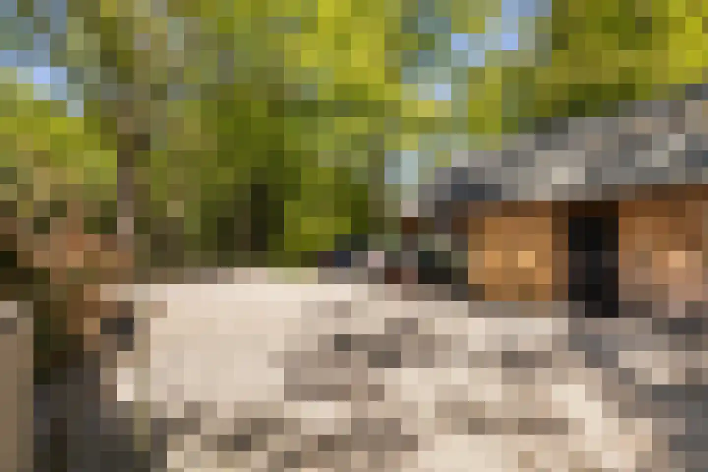 Klein Cannenburgh 4 Wenum Wiesel thumbnail 4