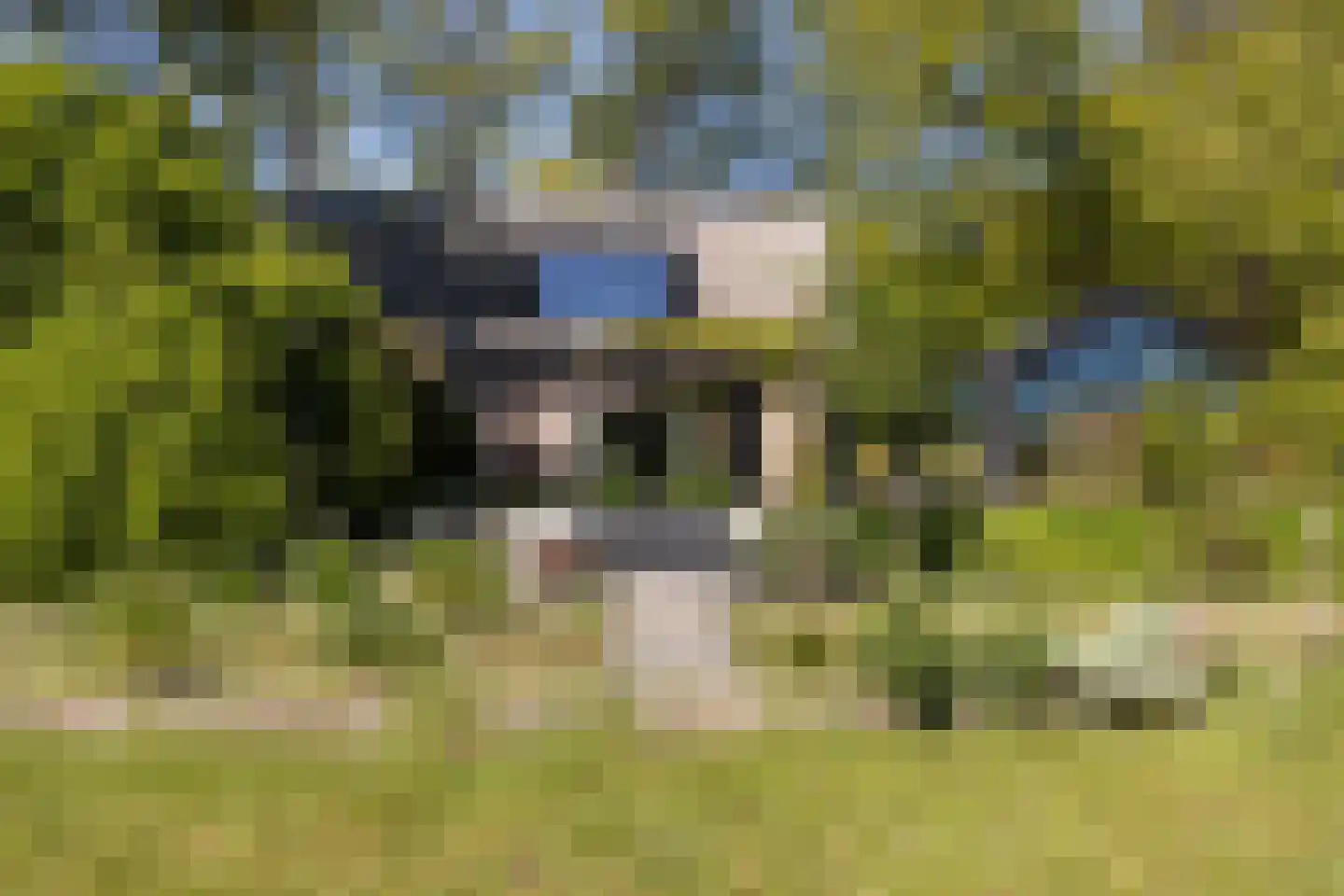 Klein Cannenburgh 4 Wenum Wiesel thumbnail 41