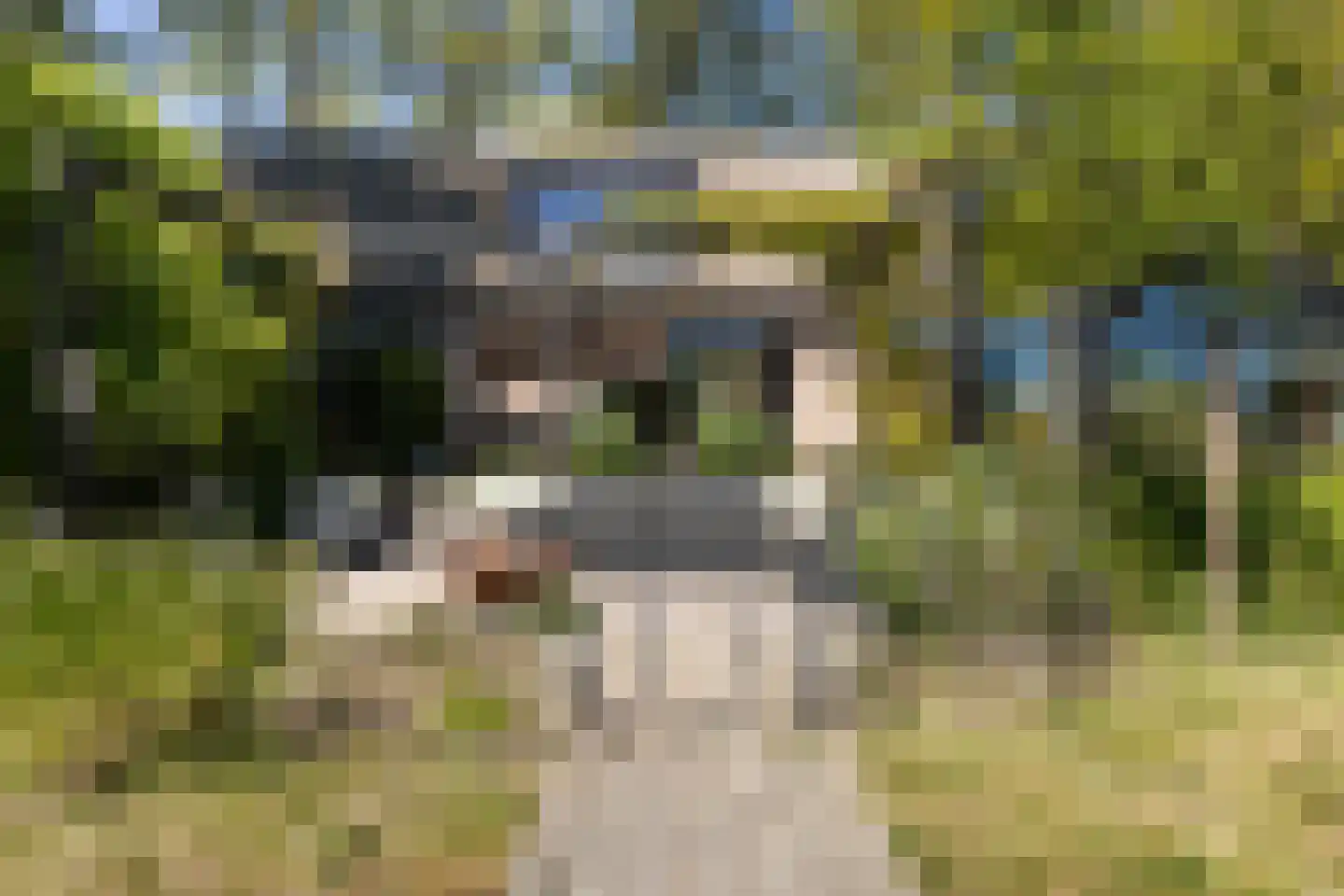 Klein Cannenburgh 4 Wenum Wiesel thumbnail 42