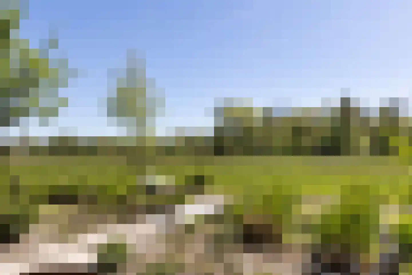 Klein Cannenburgh 4 Wenum Wiesel thumbnail 43
