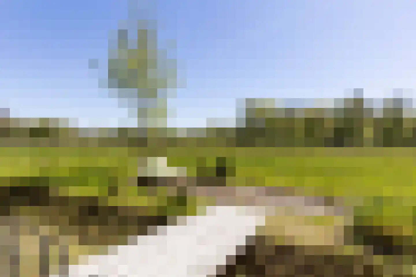 Klein Cannenburgh 4 Wenum Wiesel thumbnail 44