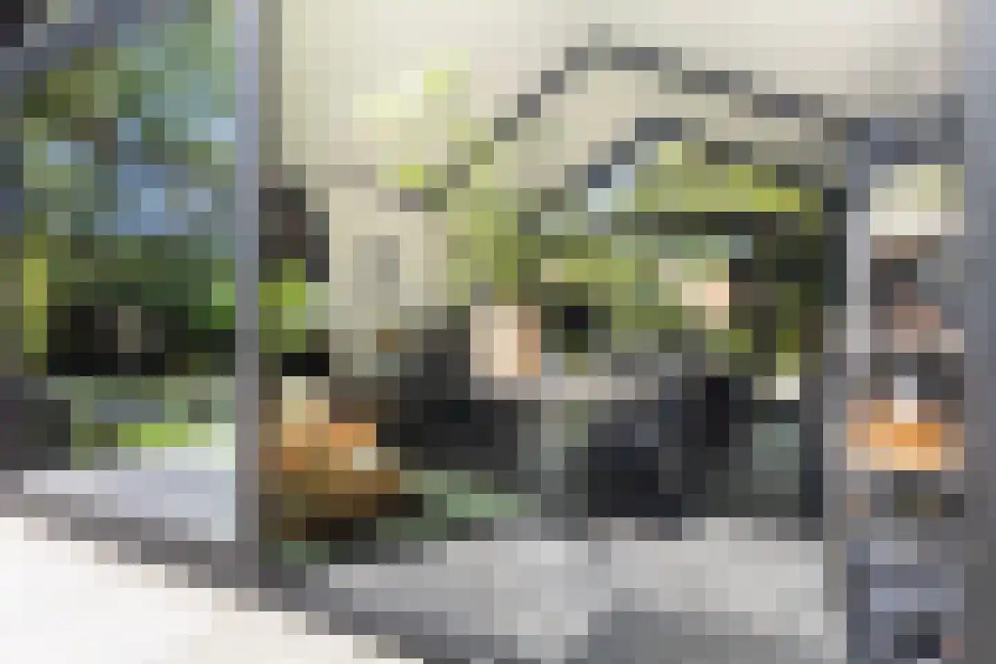 Klein Cannenburgh 4 Wenum Wiesel thumbnail 47