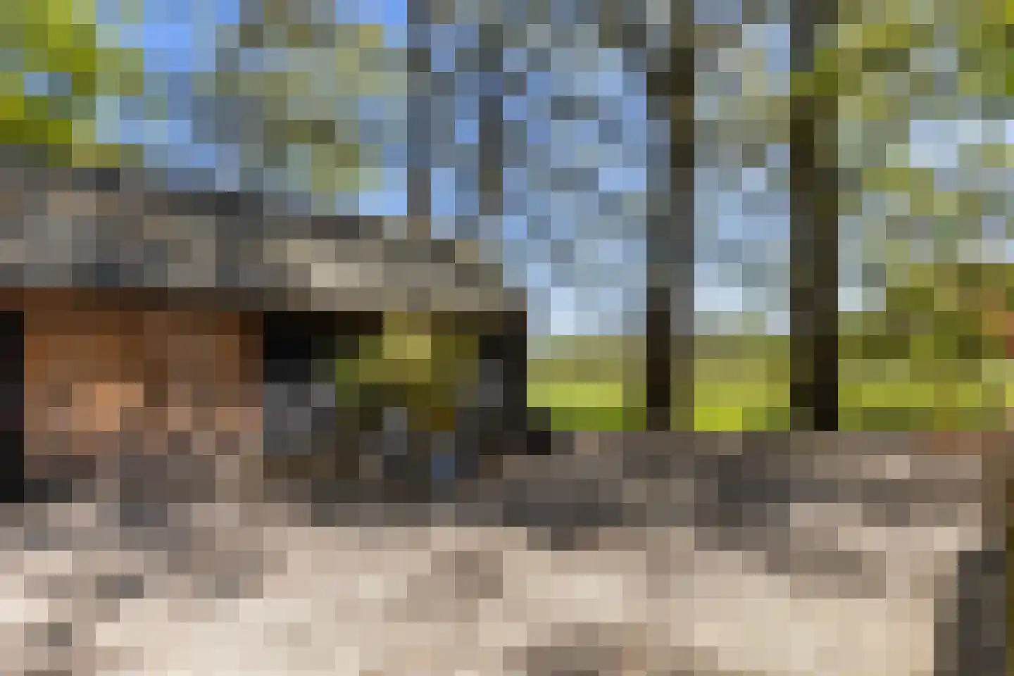 Klein Cannenburgh 4 Wenum Wiesel thumbnail 5
