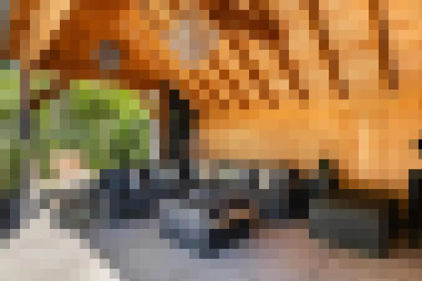 Klein Cannenburgh 4 Wenum Wiesel thumbnail 50