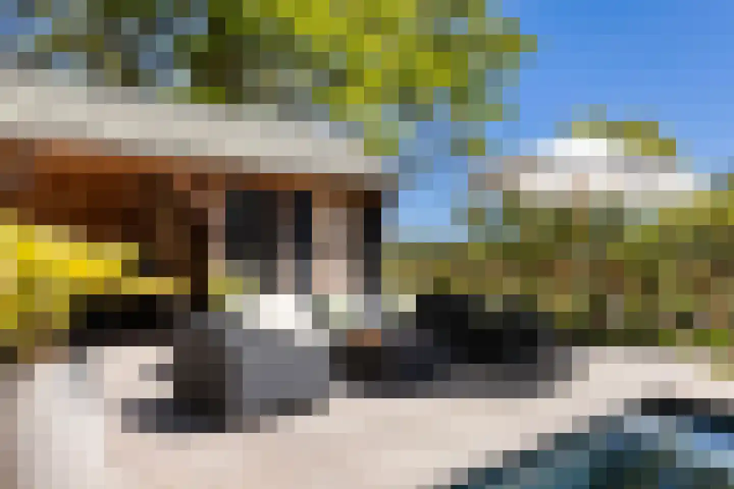 Klein Cannenburgh 4 Wenum Wiesel thumbnail 51