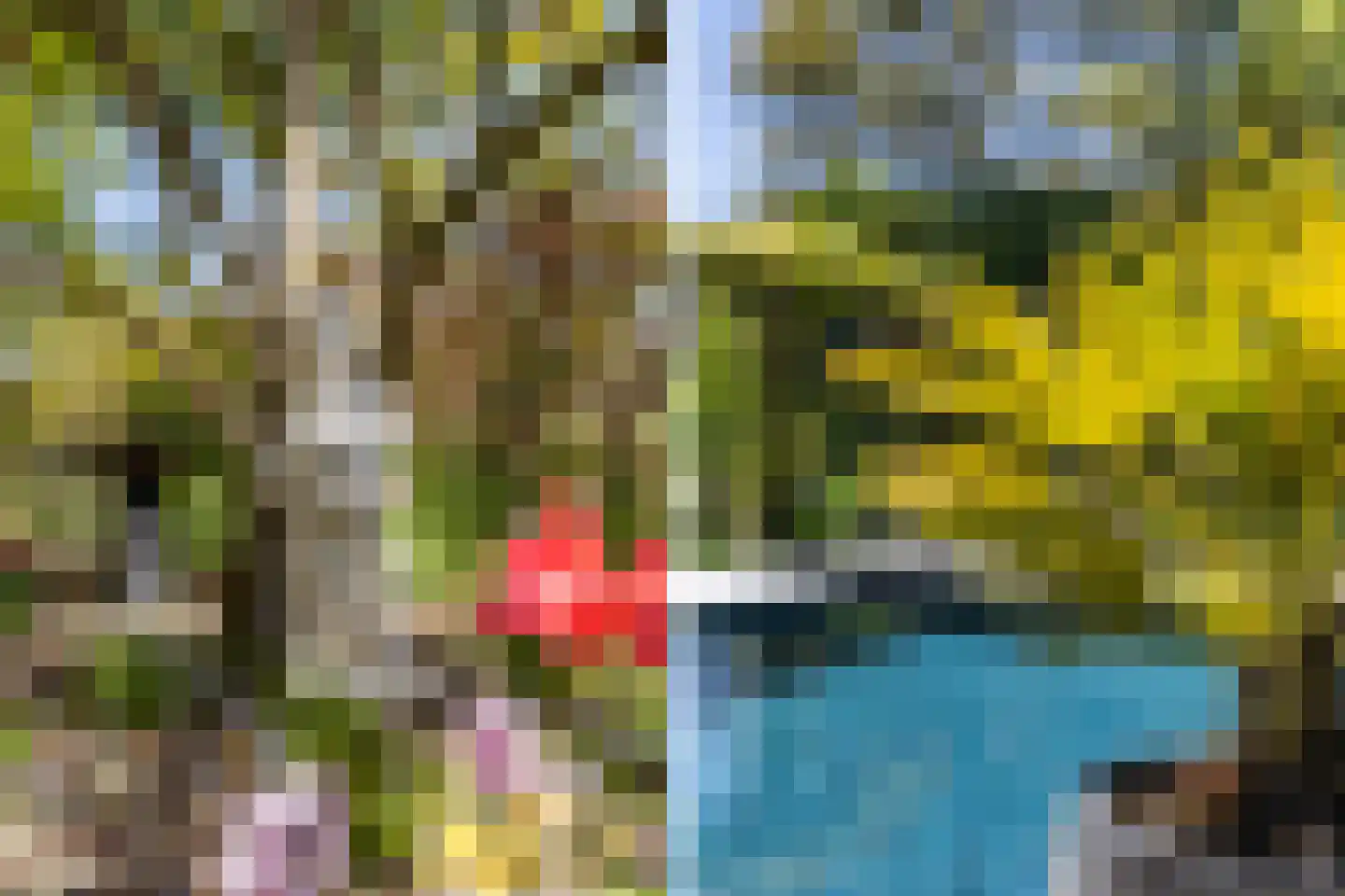 Klein Cannenburgh 4 Wenum Wiesel thumbnail 58