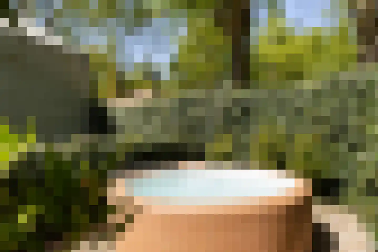 Klein Cannenburgh 4 Wenum Wiesel thumbnail 59