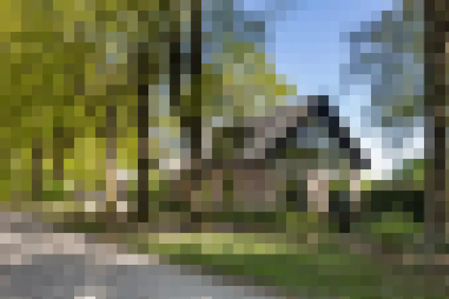 Klein Cannenburgh 4 Wenum Wiesel thumbnail 6