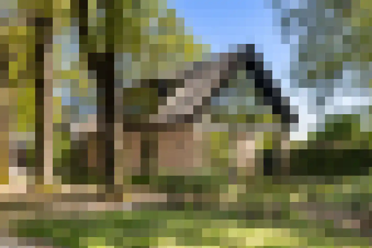 Klein Cannenburgh 4 Wenum Wiesel thumbnail 7