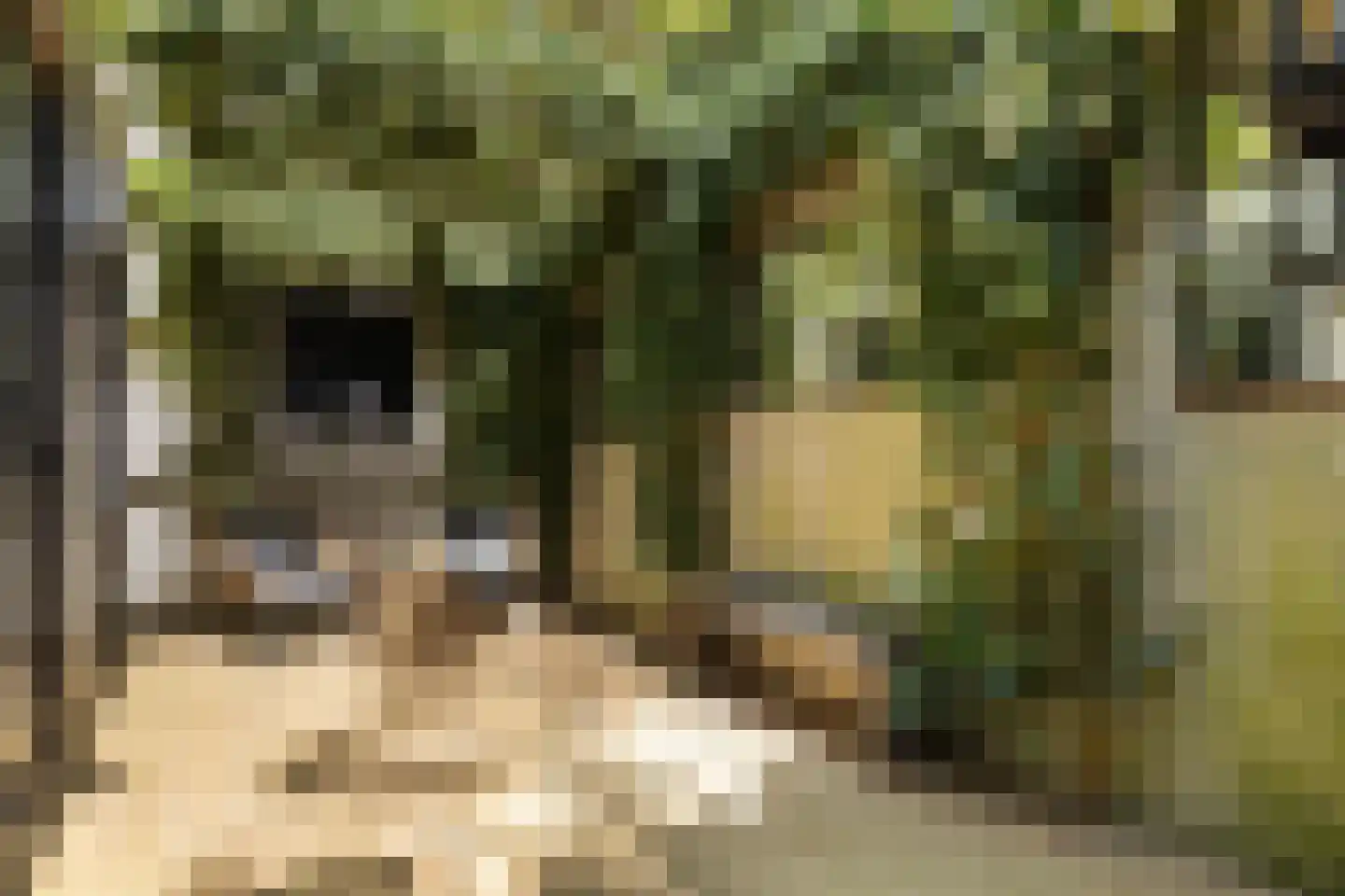 Klein Cannenburgh 4 Wenum Wiesel thumbnail 70