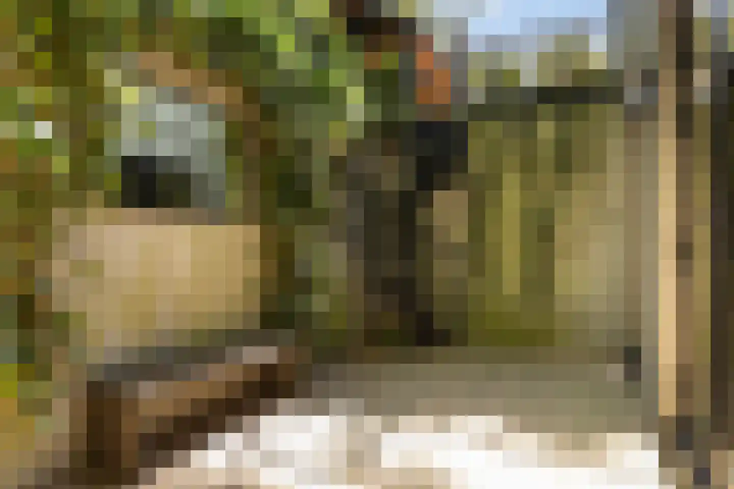 Klein Cannenburgh 4 Wenum Wiesel thumbnail 71
