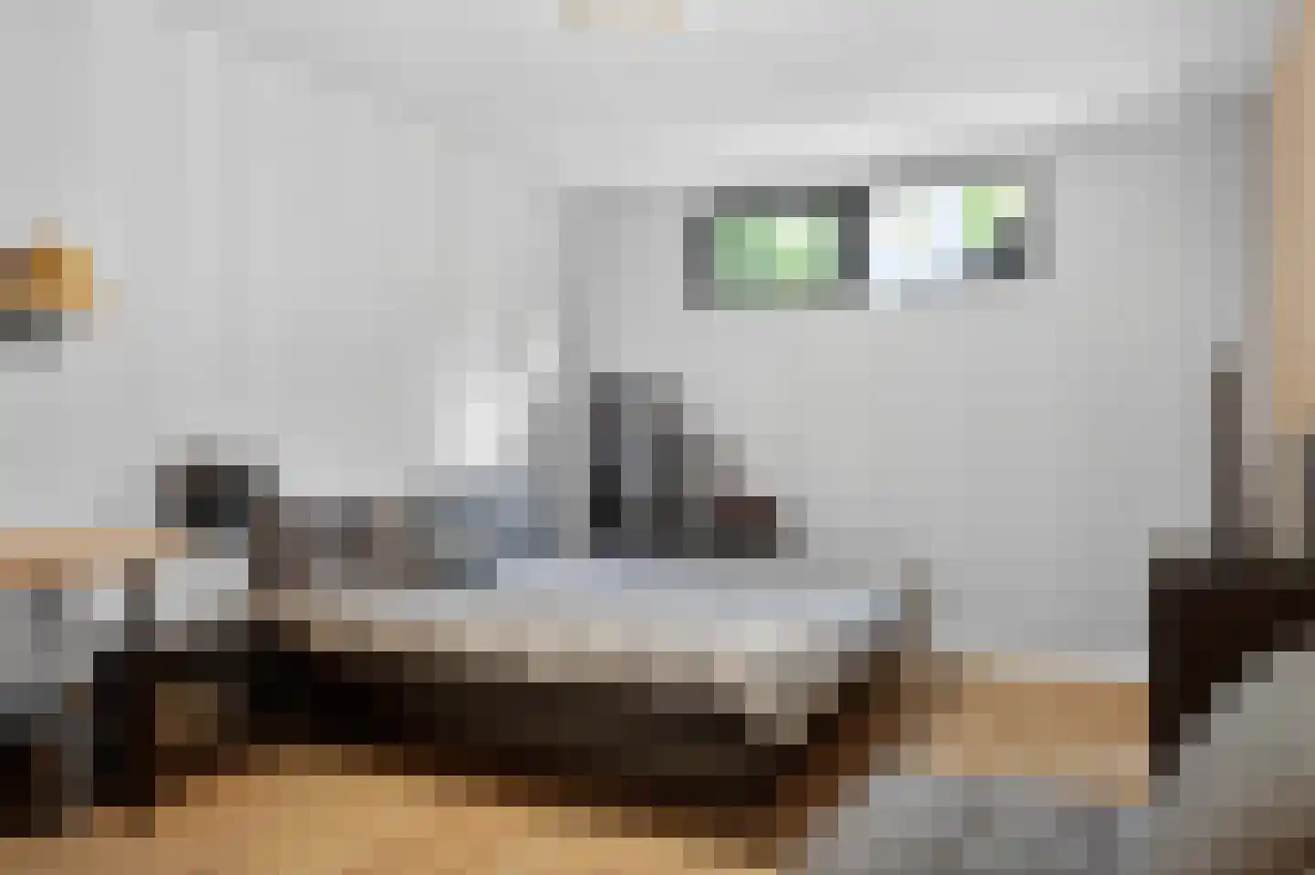Klein Cannenburgh 4 Wenum Wiesel thumbnail 76