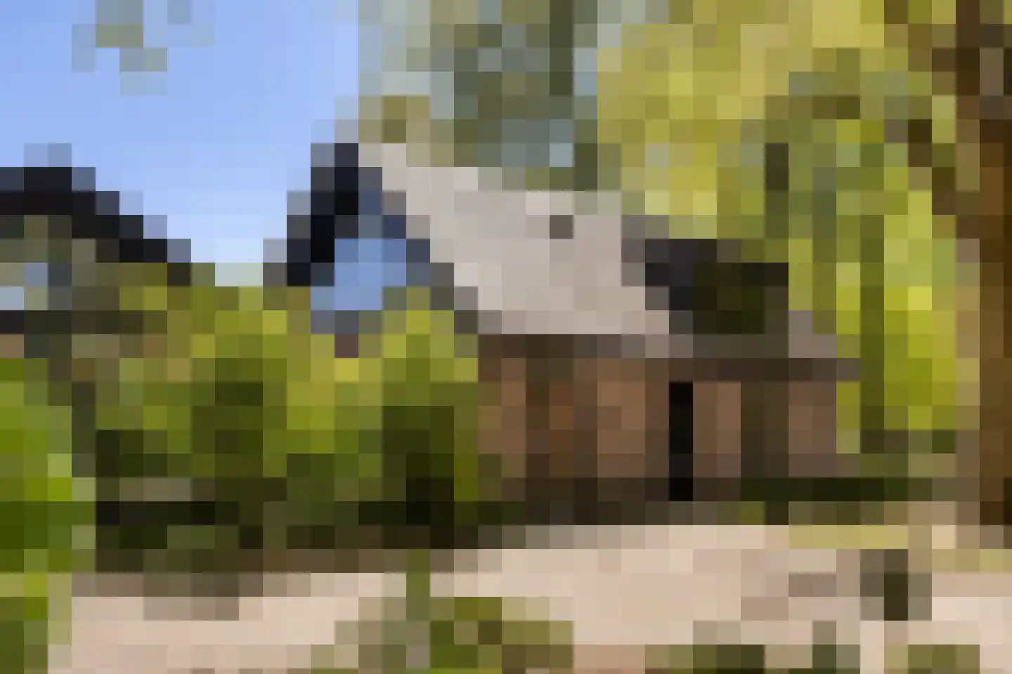 Klein Cannenburgh 4 Wenum Wiesel thumbnail 8