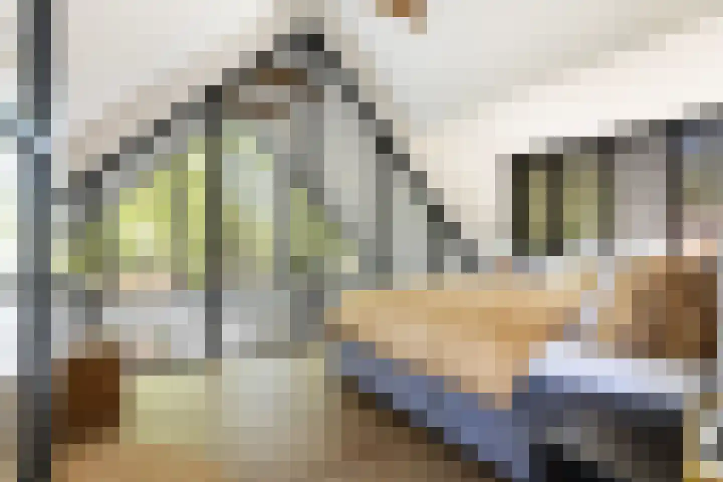 Klein Cannenburgh 4 Wenum Wiesel thumbnail 83
