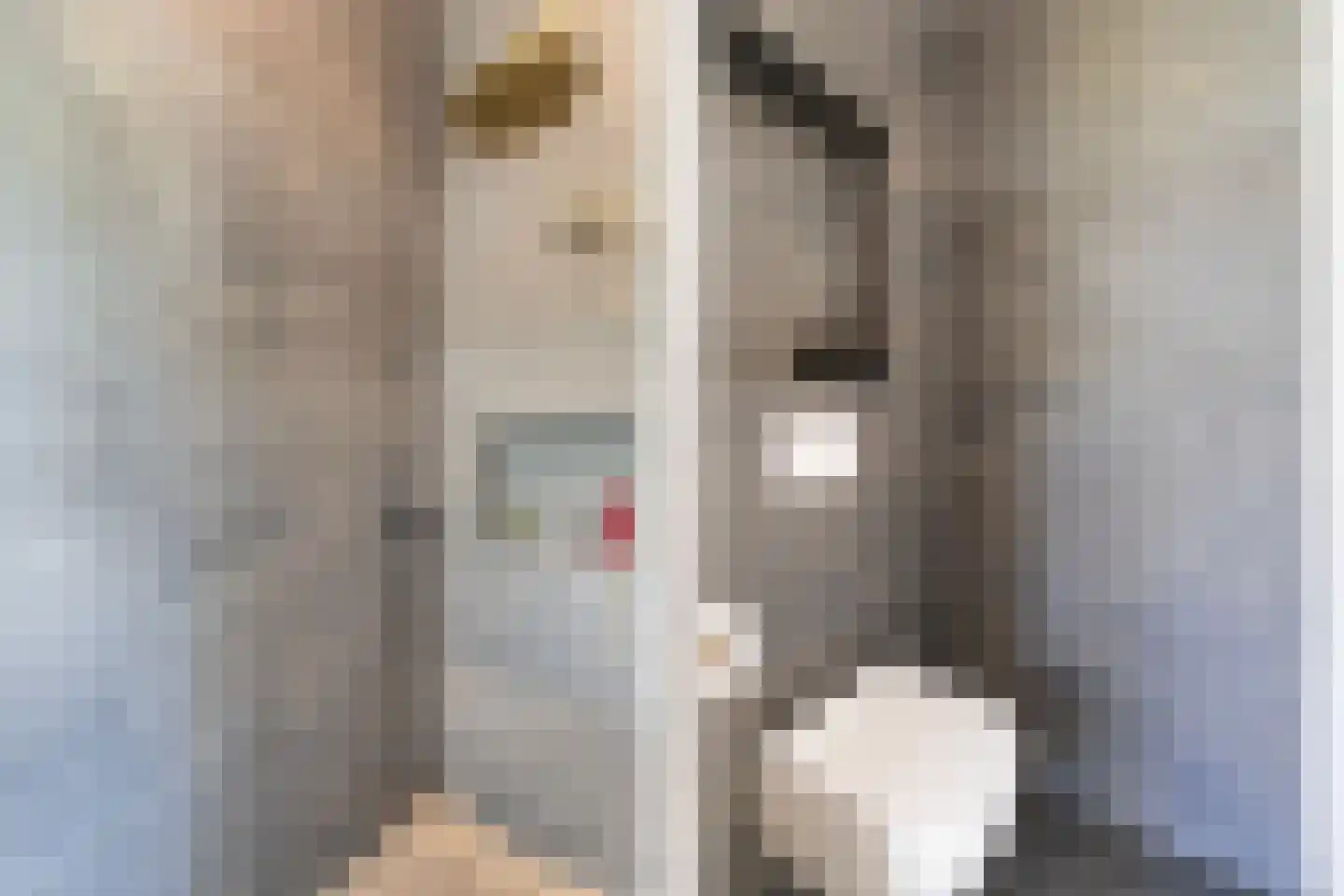 Klein Cannenburgh 4 Wenum Wiesel thumbnail 94