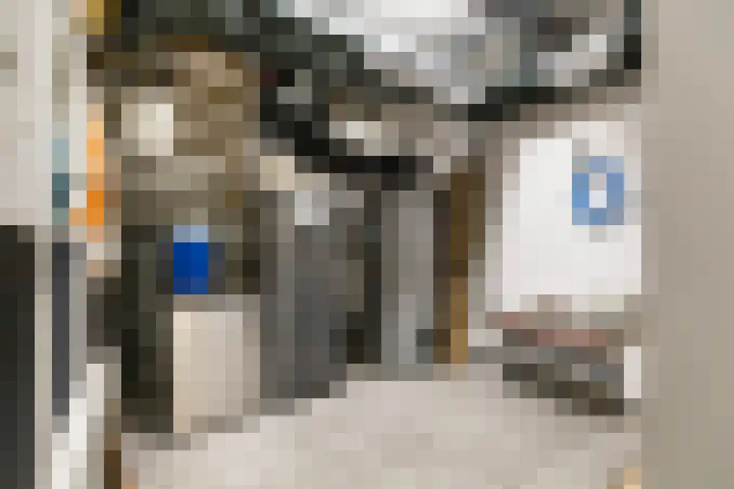 Klein Cannenburgh 4 Wenum Wiesel thumbnail 96