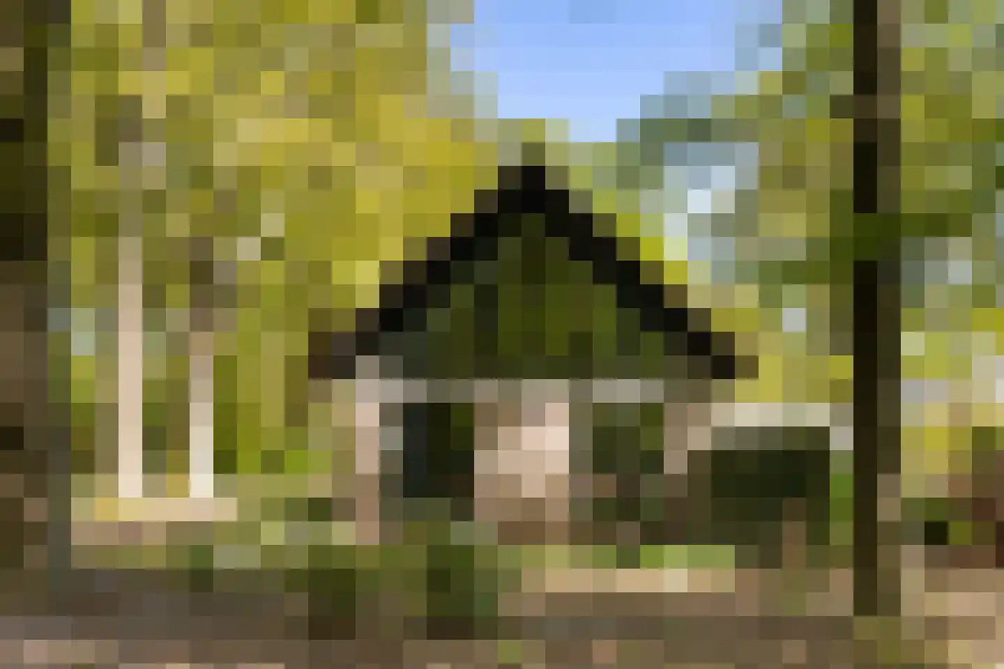 Klein Cannenburgh 4 Wenum Wiesel thumbnail 97